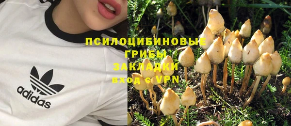 круглые Алексеевка