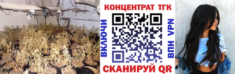 ТГК жижа  Купить закладки  Плёс 