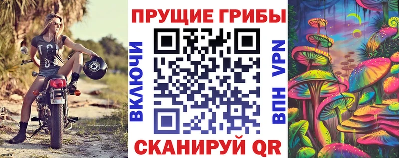 Псилоцибиновые грибы мухоморы  Купить закладки  Плёс 