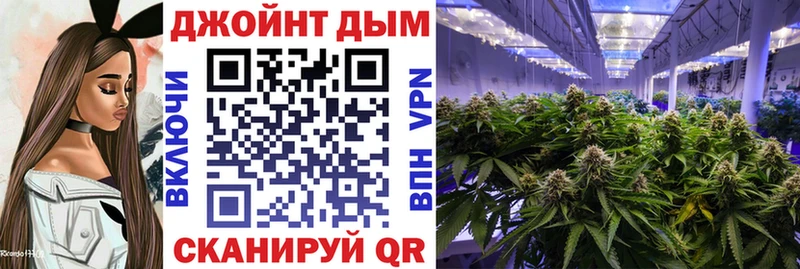 Купить закладки  Плёс  Конопля AK-47 